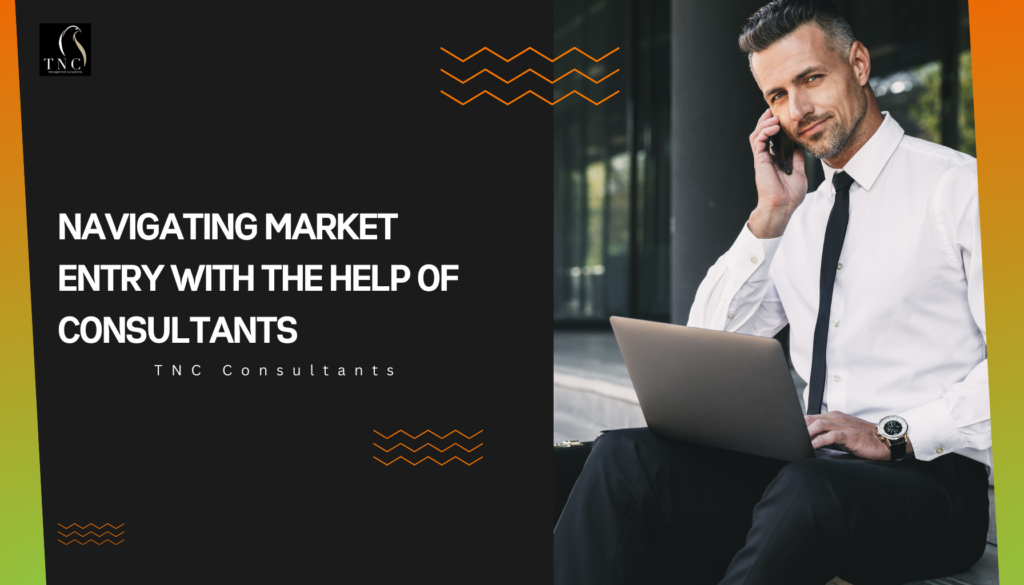 Navigating Market Entry with the Help of Consultants