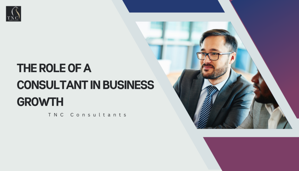 The Role of a Consultant in Business Growth